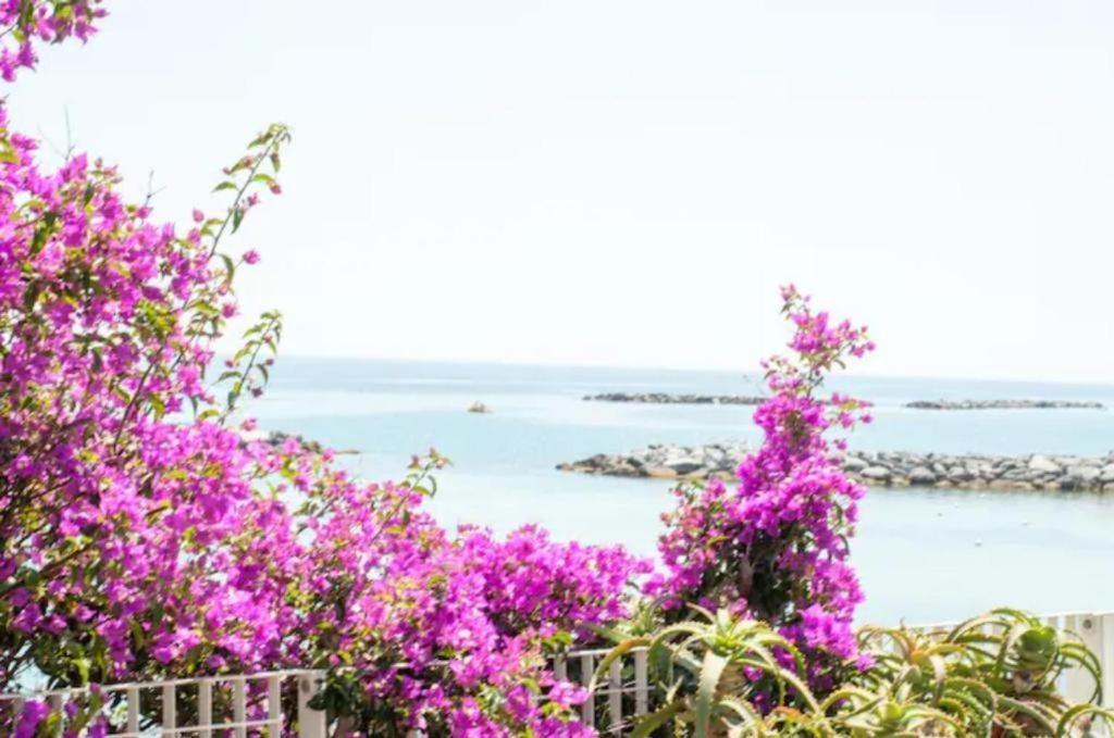 Casa Vacanza Rossella Sanremo Dış mekan fotoğraf